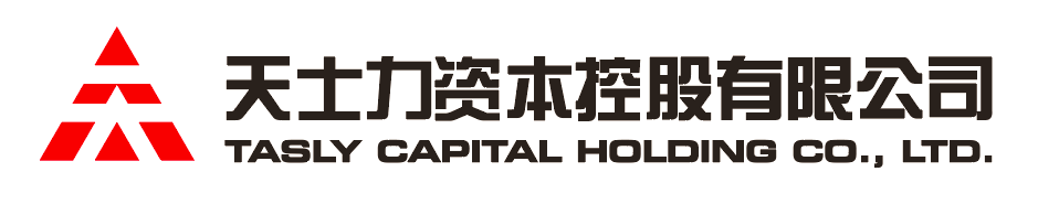 VIP888资本控股有限公司